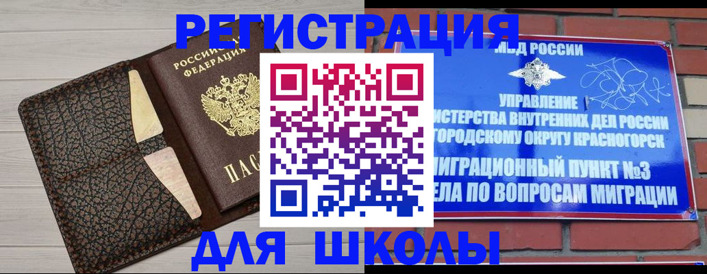 прописка в Мончегорске